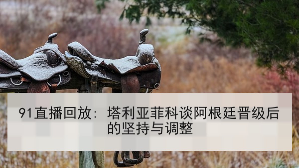 91直播回放: 塔利亚菲科谈阿根廷晋级后的坚持与调整