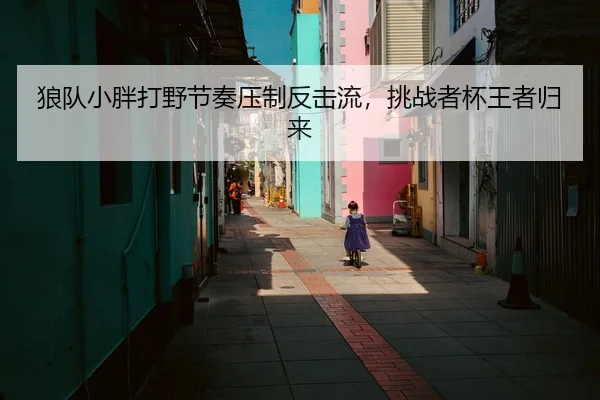 狼队小胖打野节奏压制反击流，挑战者杯王者归来